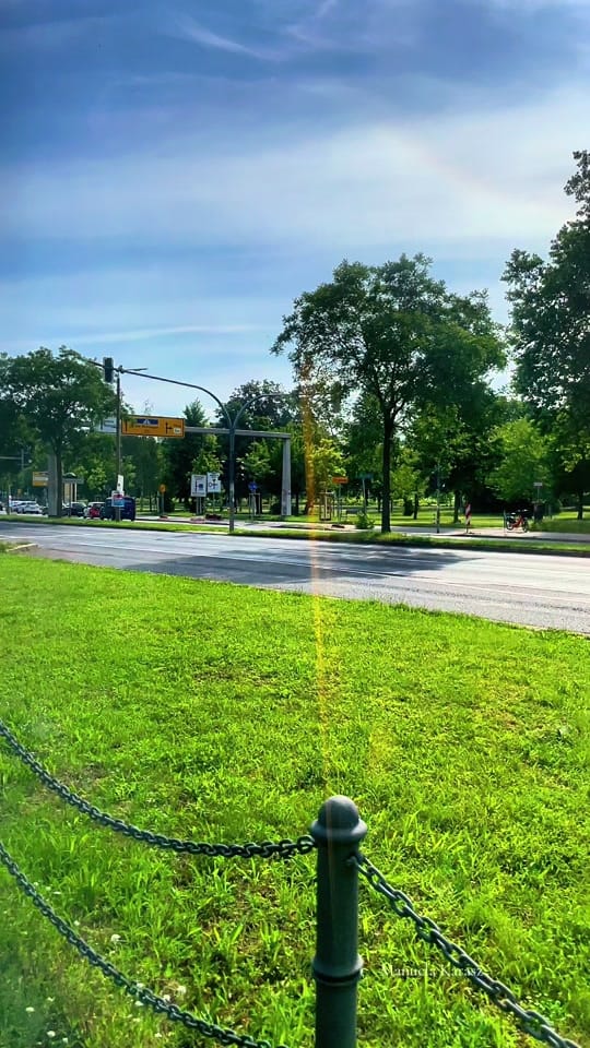 Post 2 by City Nature Beautifuls 🌱 on TikTok (video)