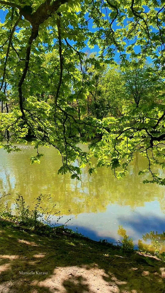 Post 10 by City Nature Beautifuls 🌱 on TikTok (video)