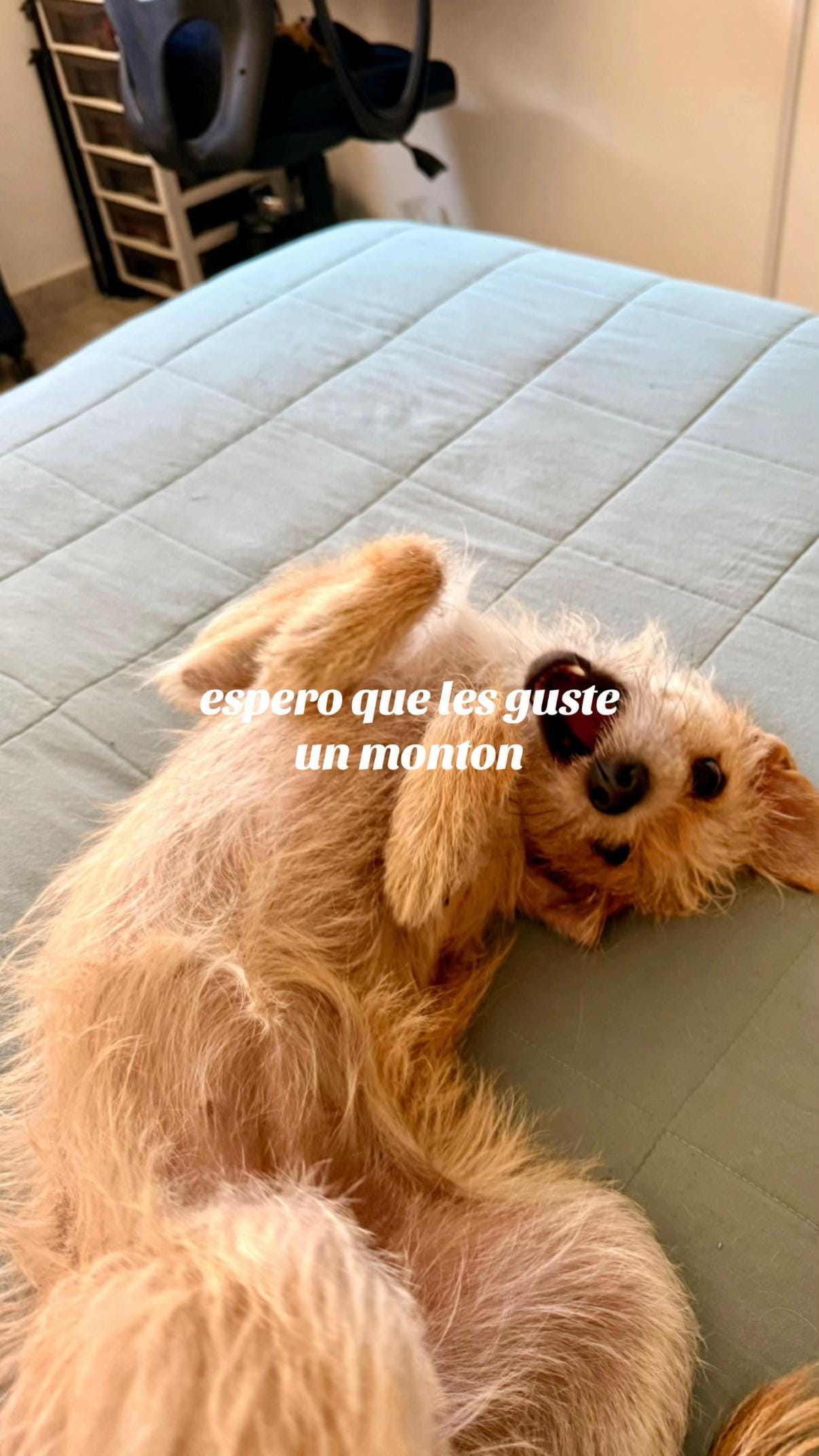 Post 2 by Lujan Makeup on TikTok (video)