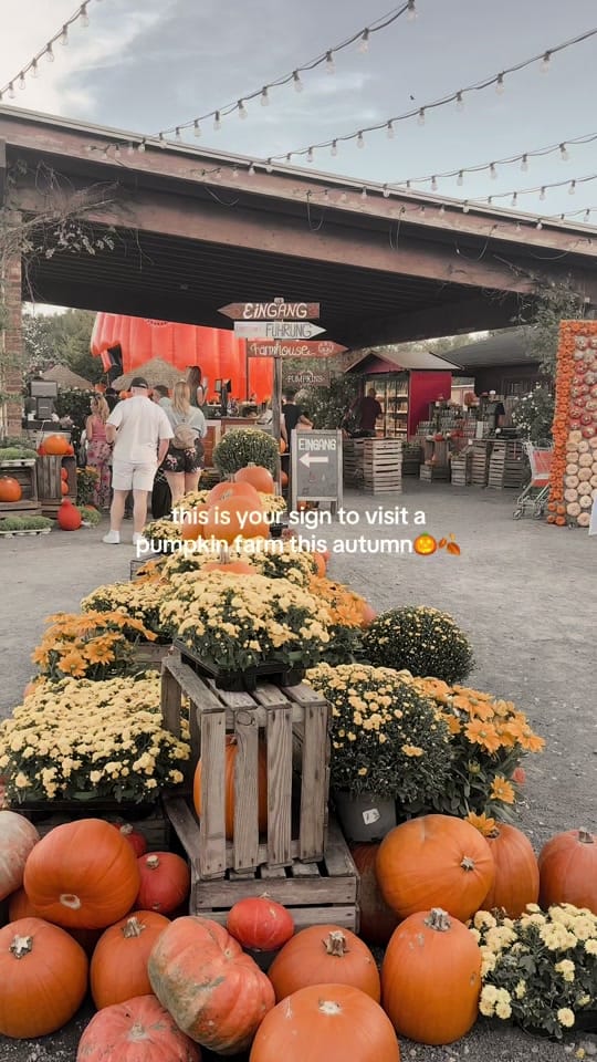 Post 3 by 念 on TikTok (video)