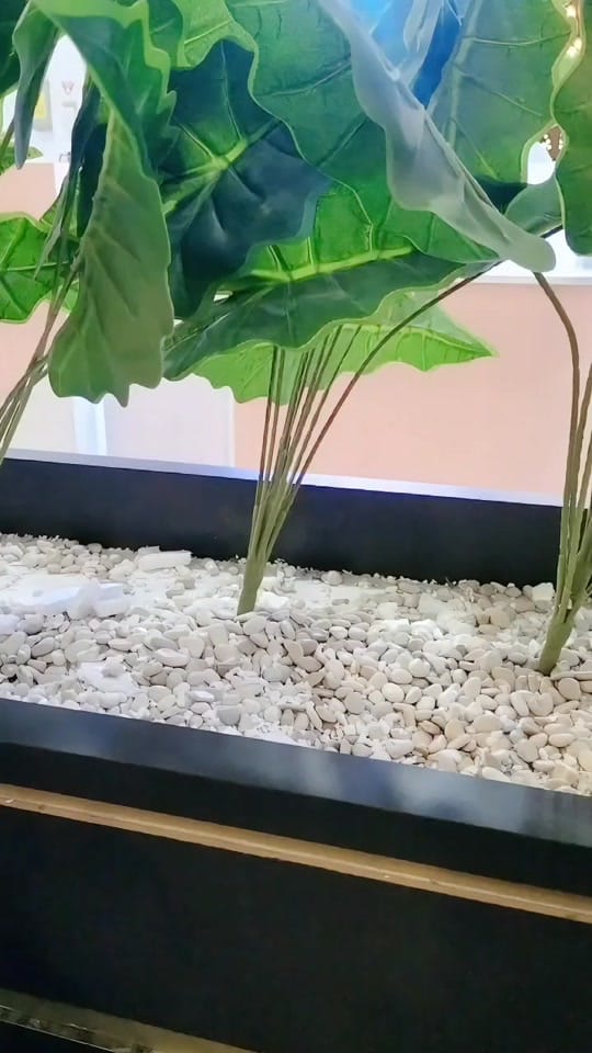 Post 8 by ✿ Ⲋhเᥒtᥲdꫀρᥙt ✿ on TikTok (video)