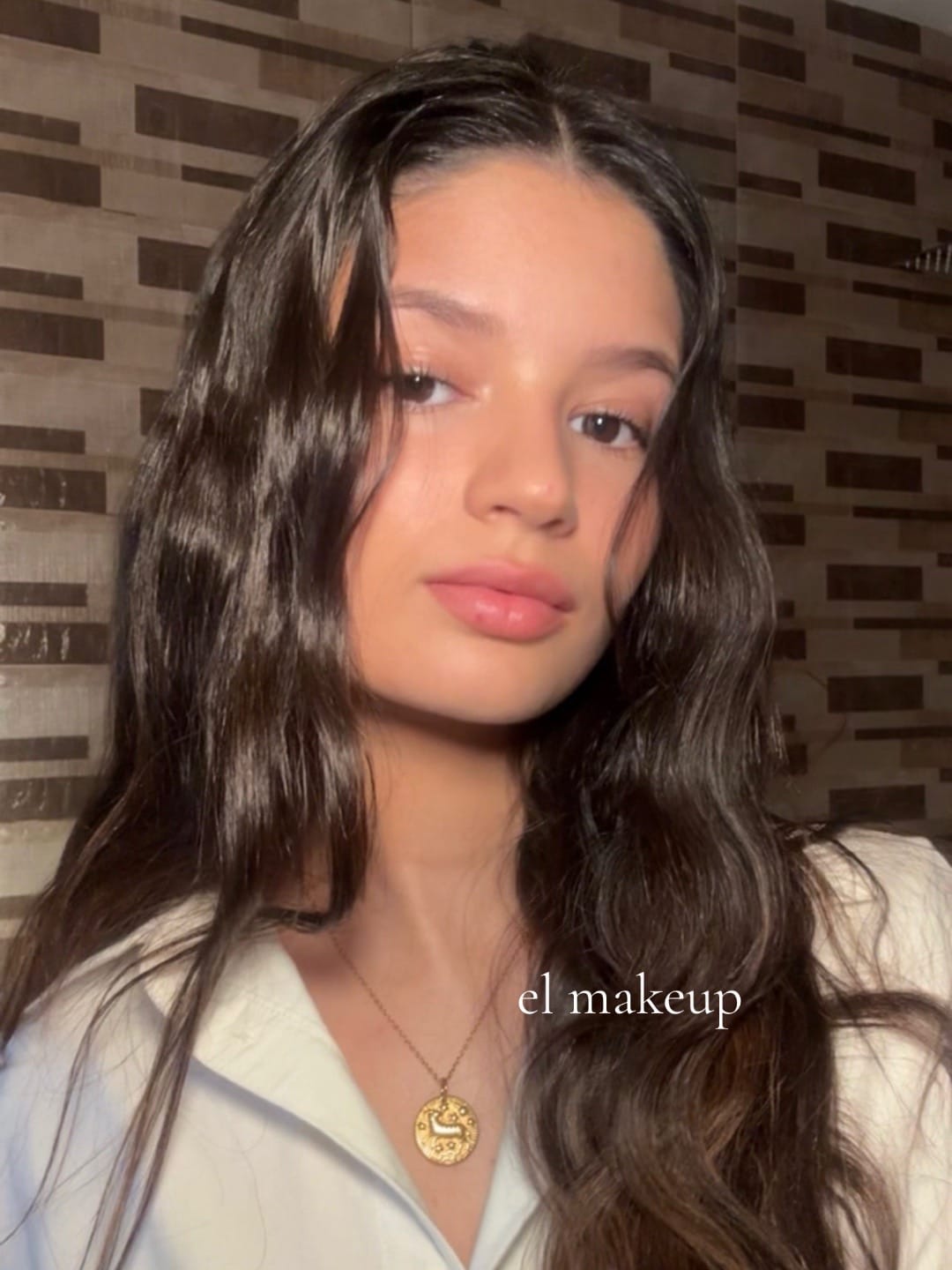 Post 1 by carla on TikTok (video)