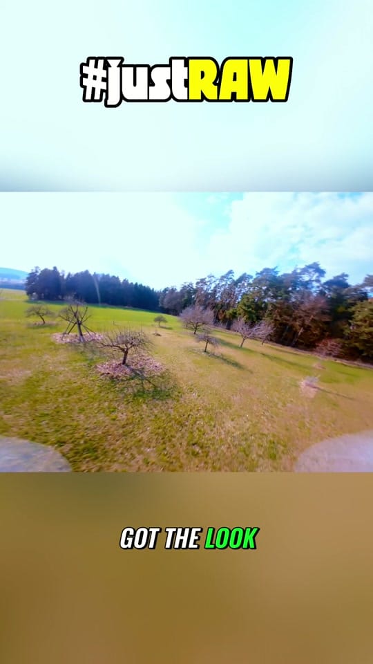 Post 9 by DrFrantic77 FPV on TikTok (video)