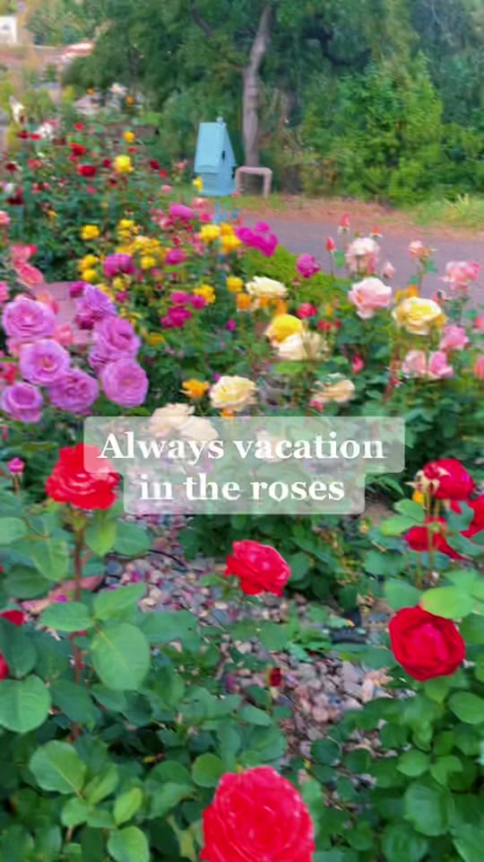 Post 1 by TheInnOnKnowlesHill on TikTok (video)