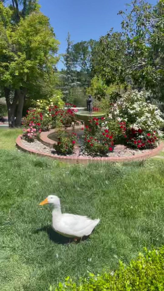 Post 2 by TheInnOnKnowlesHill on TikTok (video)