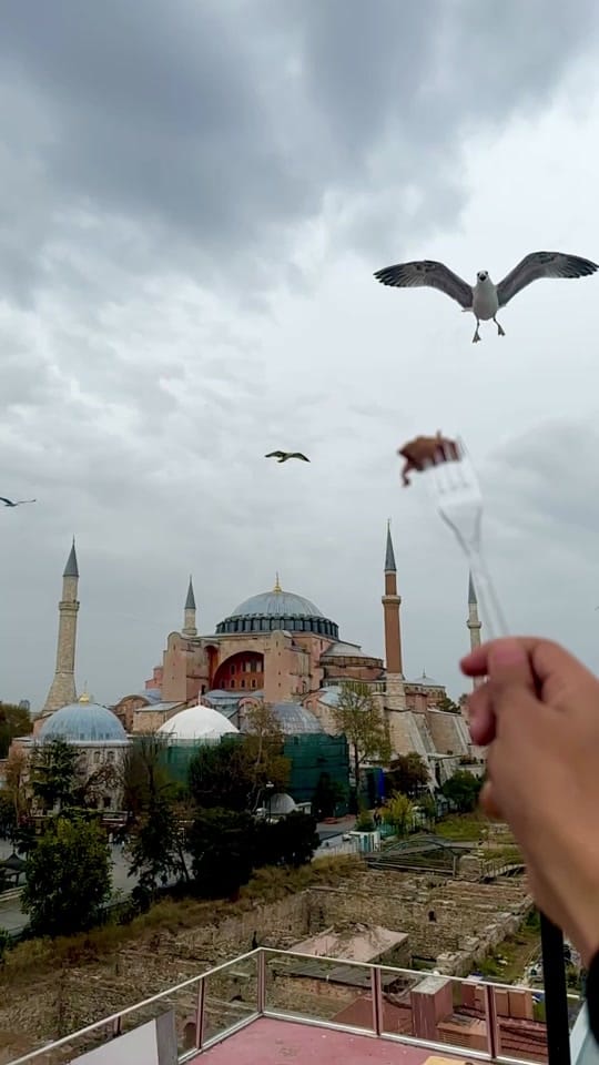 Post 3 by Mohammed Naami on TikTok (video)