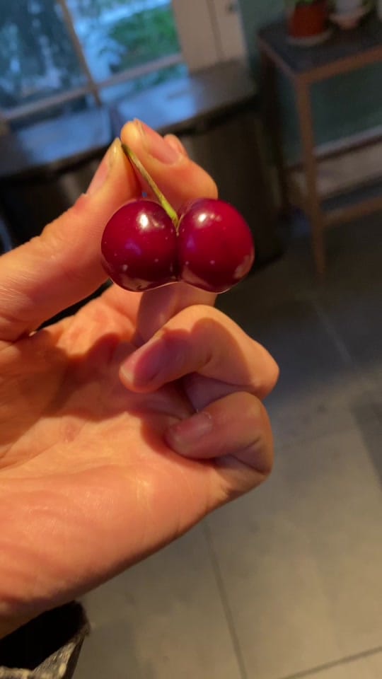 Post 3 by Mishka on TikTok (video)