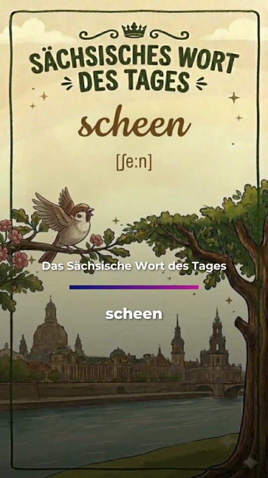 Post 5 by Sachsen Fernsehen on TikTok (video)