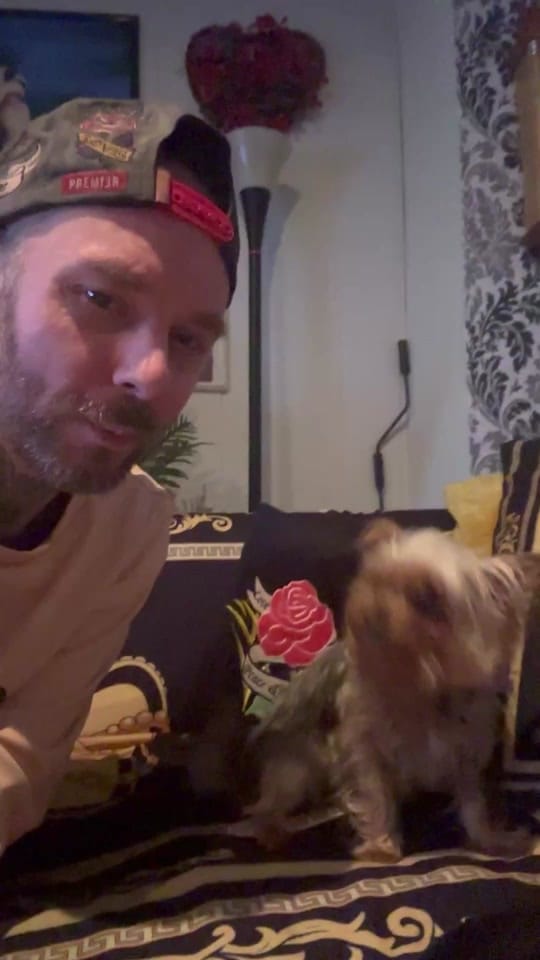 Post 9 by Sven Steppan🏳️‍🌈💎✨ on TikTok (video)