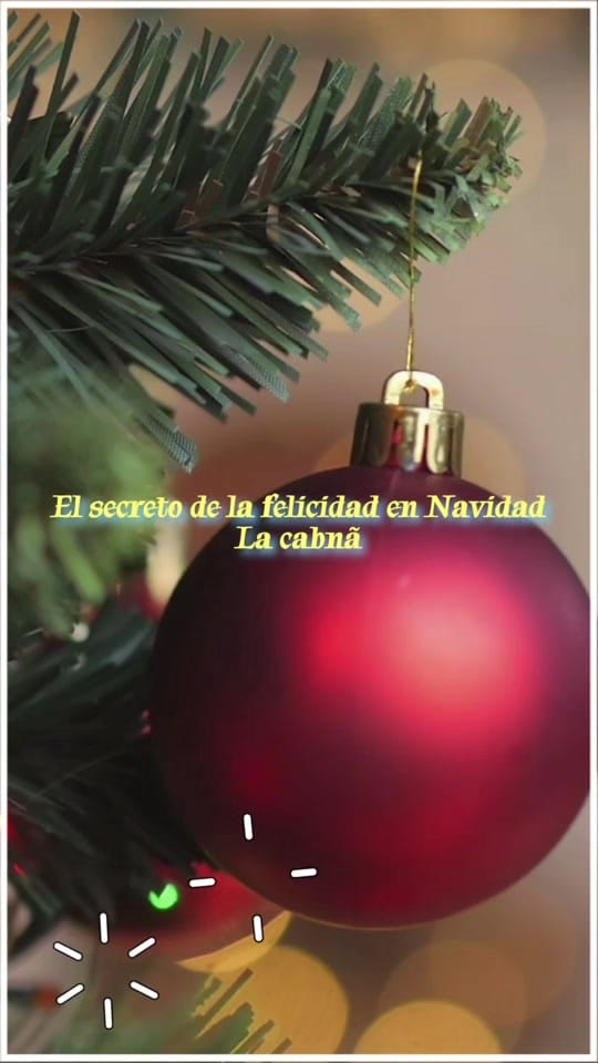 Post 4 by Tenerife on TikTok (video)