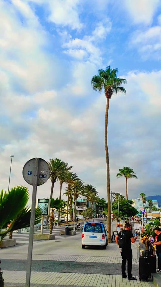 Post 10 by Tenerife on TikTok (video)