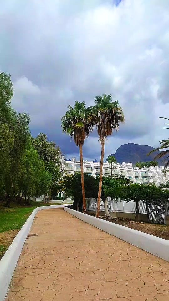 Post 6 by Tenerife on TikTok (video)