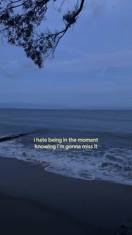 Post 7 by 𝑳 𝑬 𝑺 𝑳 𝑰 🍒 on TikTok (video)