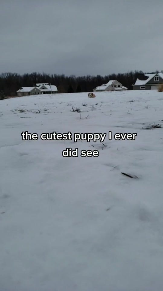 Post 9 by Chelsea on TikTok (video)