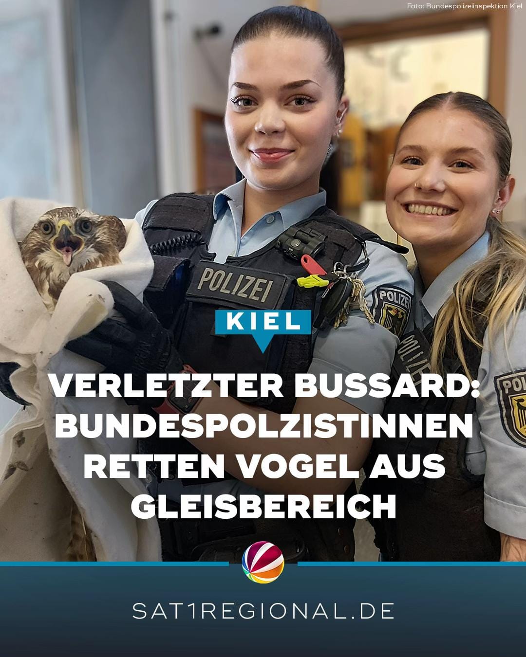 Post 6 by SAT.1 REGIONAL Norddeutschland on TikTok (video)