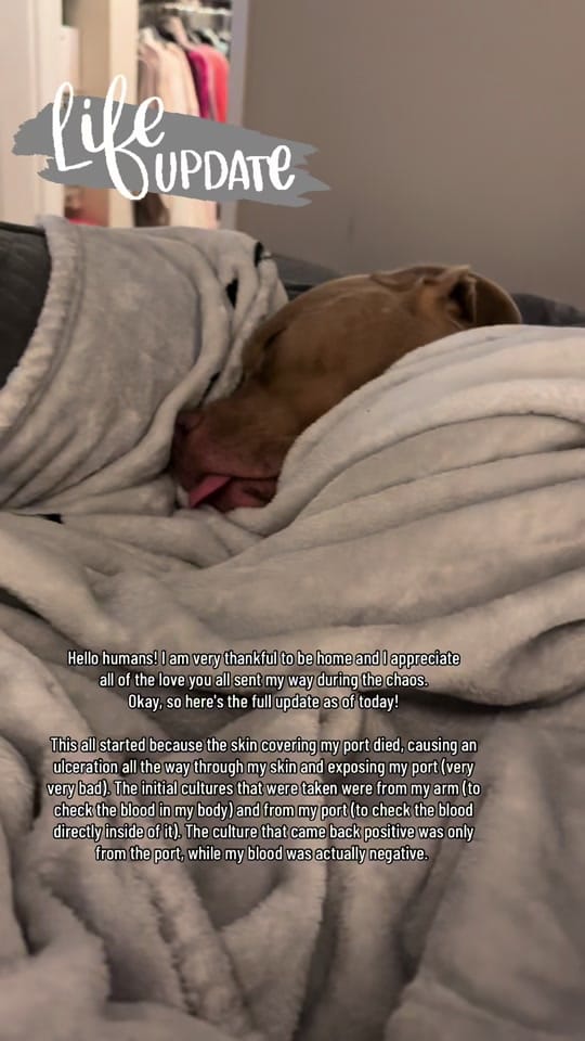 Post 2 by Megs on TikTok (video)