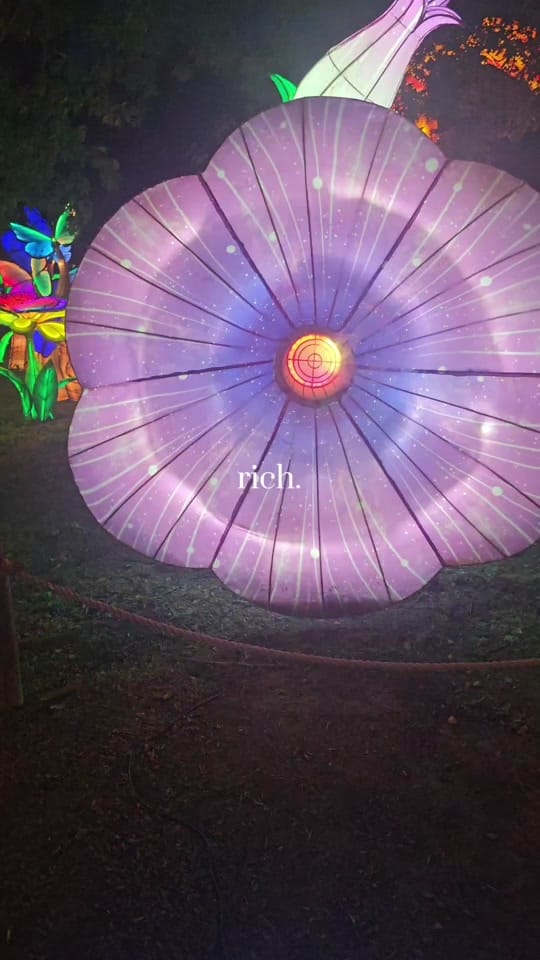 Post 6 by Notadumblonde89 on TikTok (video)