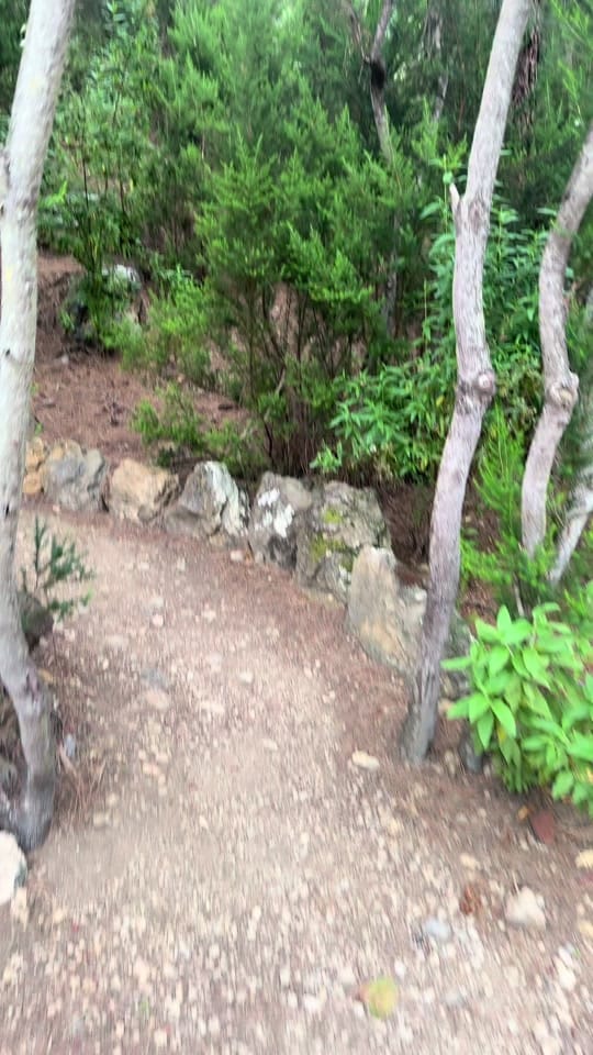 Post 1 by Sofiaperestelo on TikTok (video)