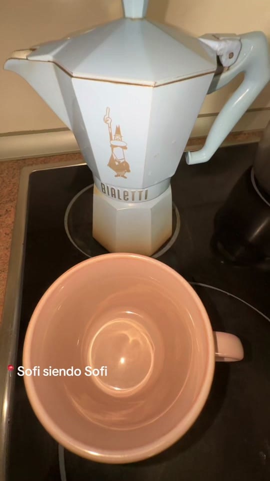 Post 2 by Sofiaperestelo on TikTok (video)