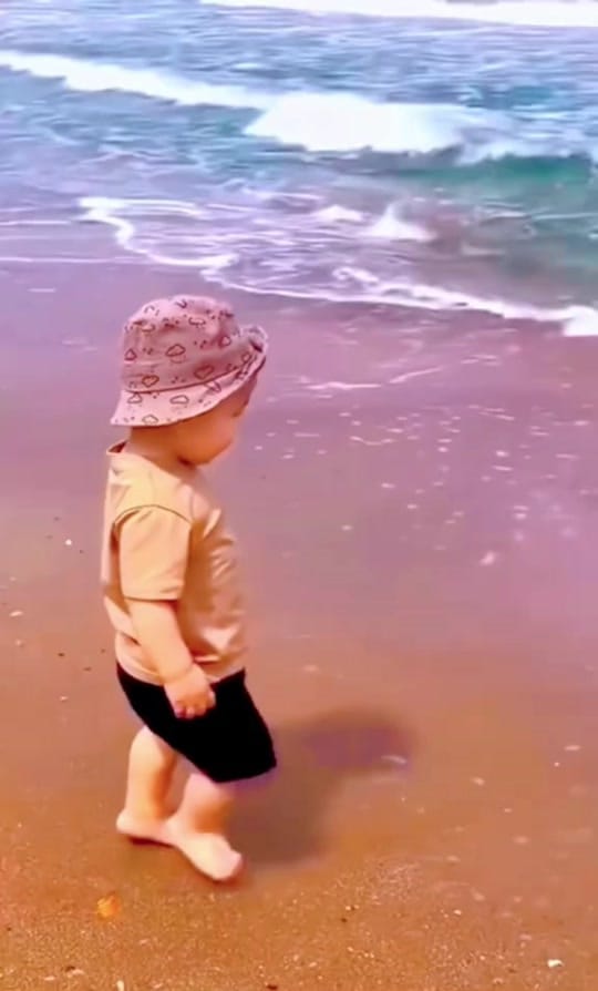 Post 6 by Funny Videos on TikTok (video)