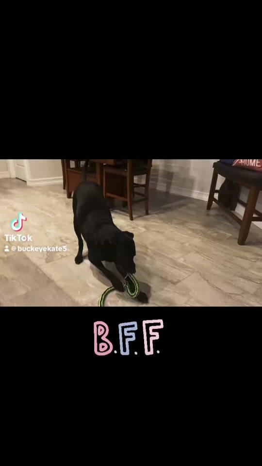 Post 7 by 🌶️Spice Rack Kath on TikTok (video)