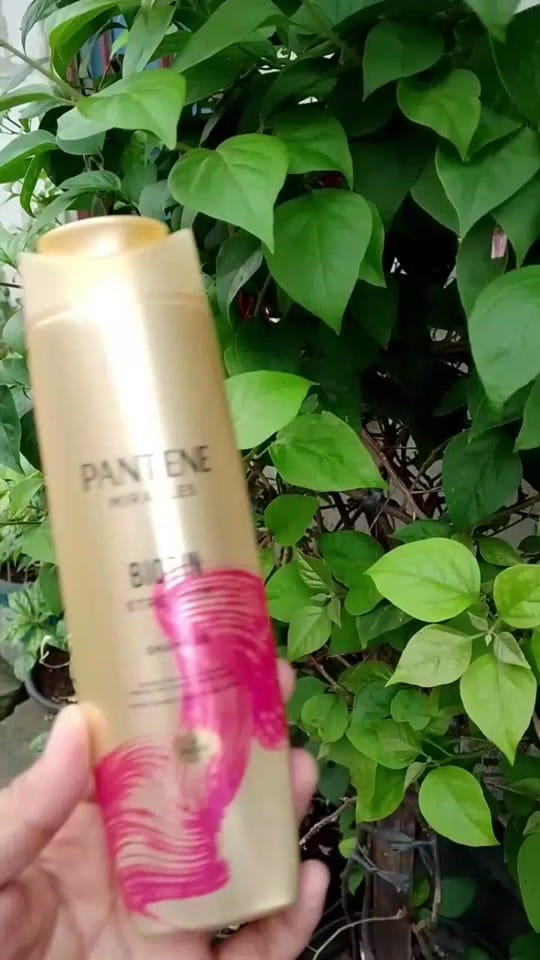 Post 7 by Chelsea Putri on TikTok (video)