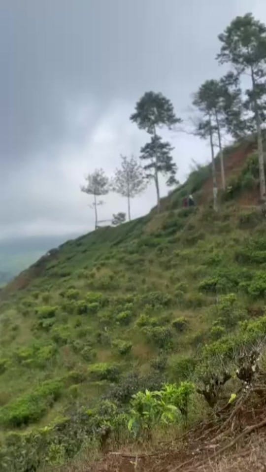 Post 7 by skincare Genz on TikTok (video)