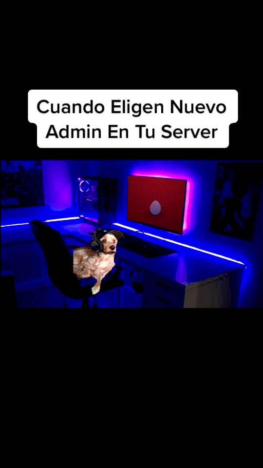Post 6 by Allen on TikTok (video)