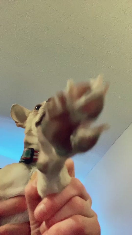 Post 8 by Ashley 🖤 on TikTok (video)