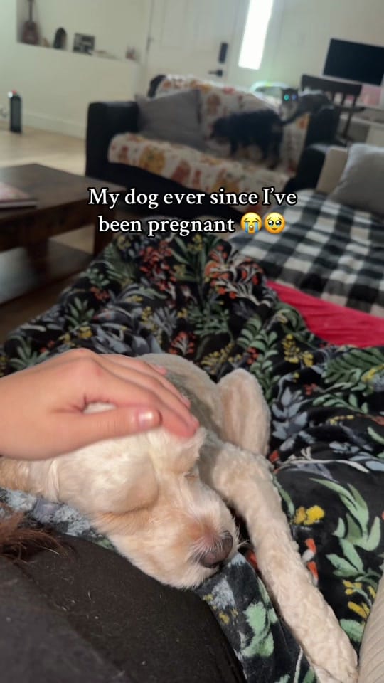Post 6 by Chy Teuila | IV Nurse on TikTok (video)