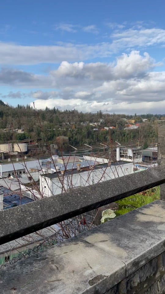 Post 2 by timberlinecowboy on TikTok (video)
