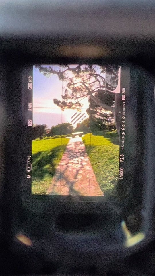 Post 6 by Richie O'Reilly on TikTok (video)