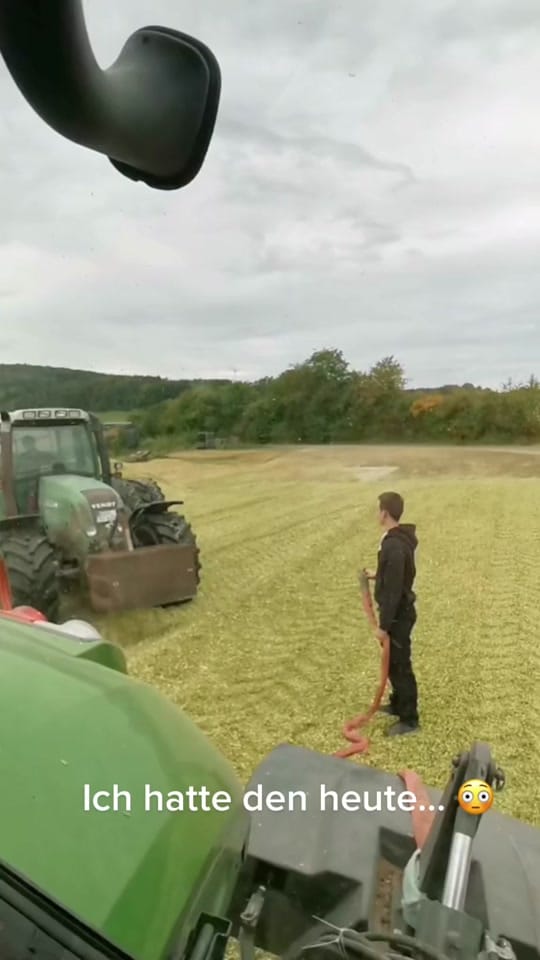 Post 8 by agrarvideos_hessen on TikTok (video)