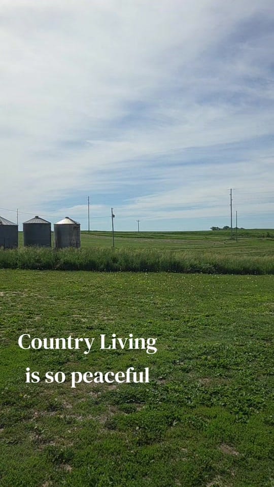Post 8 by Iowa Barndo Bunch on TikTok (video)