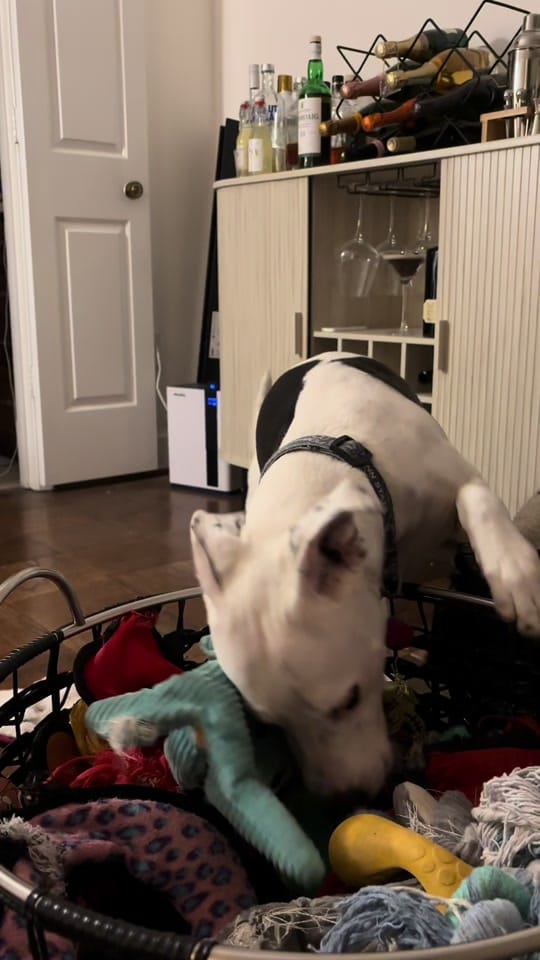 Post 8 by Kelly on TikTok (video)