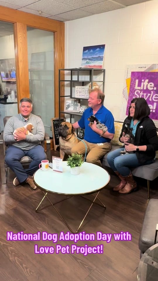 Post 8 by The LOVE Pet Project on TikTok (video)