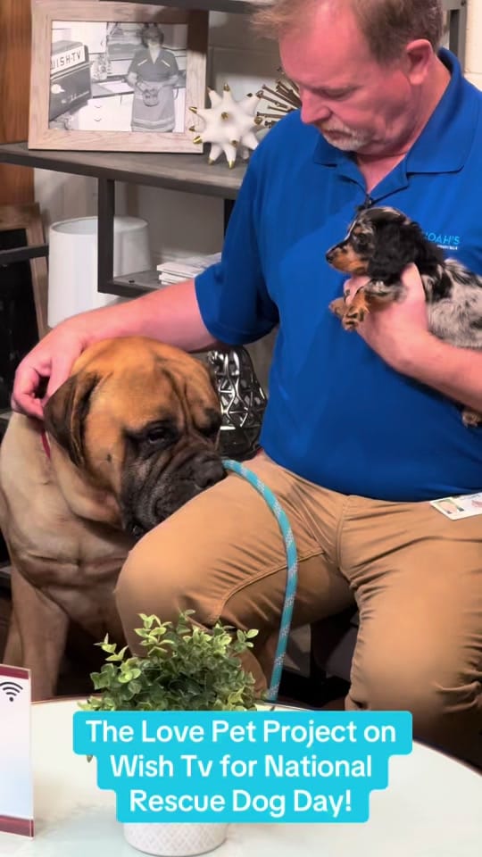 Post 9 by The LOVE Pet Project on TikTok (video)