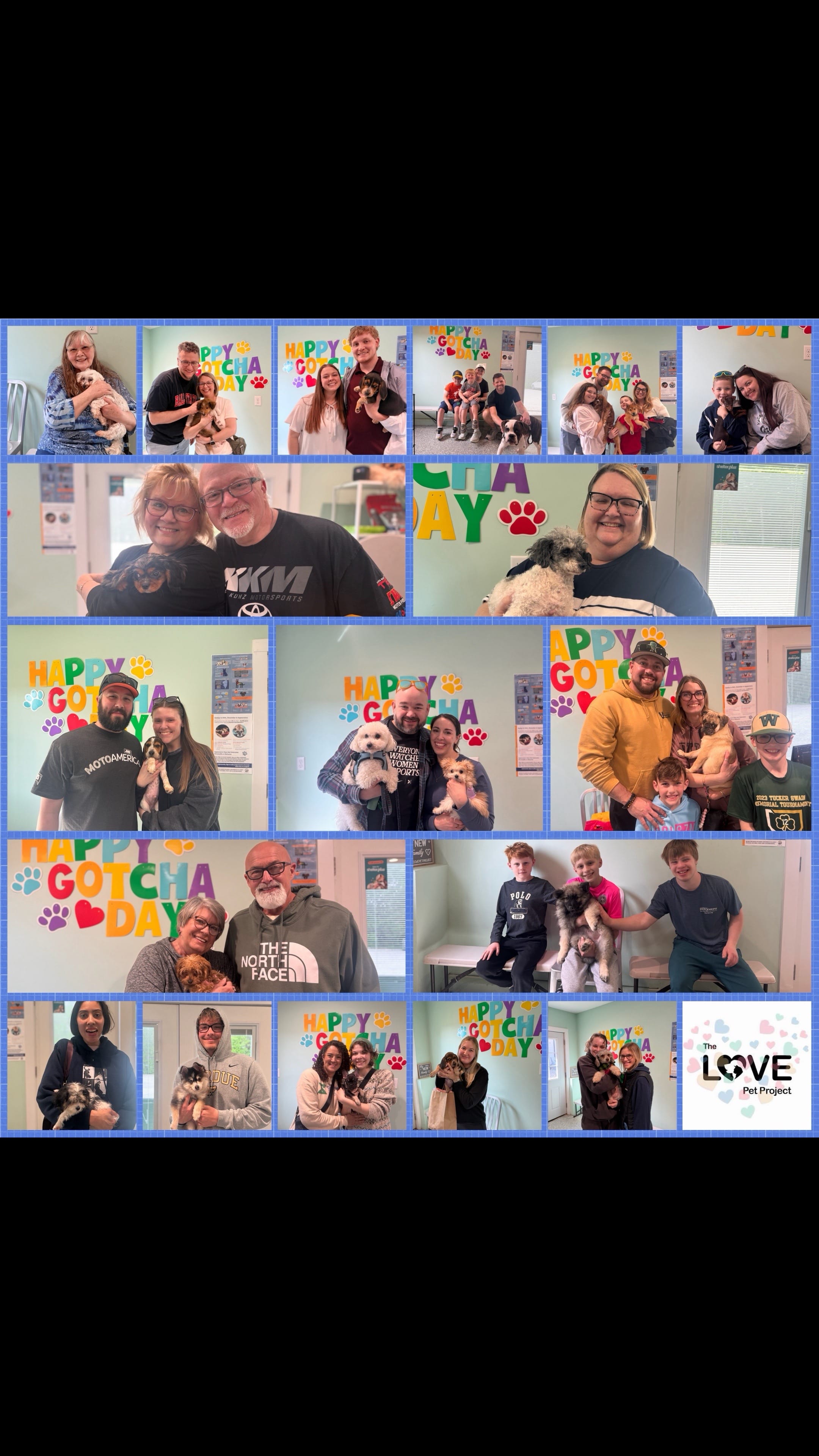 Post 5 by The LOVE Pet Project on TikTok (video)
