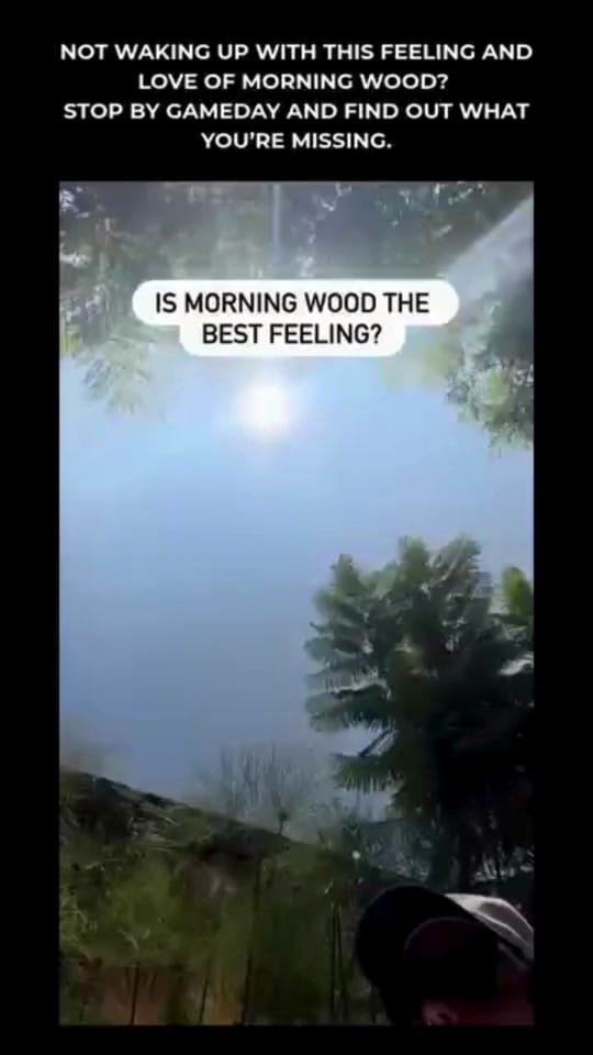 Post 1 by gameday_gainesvilleva on TikTok (video)
