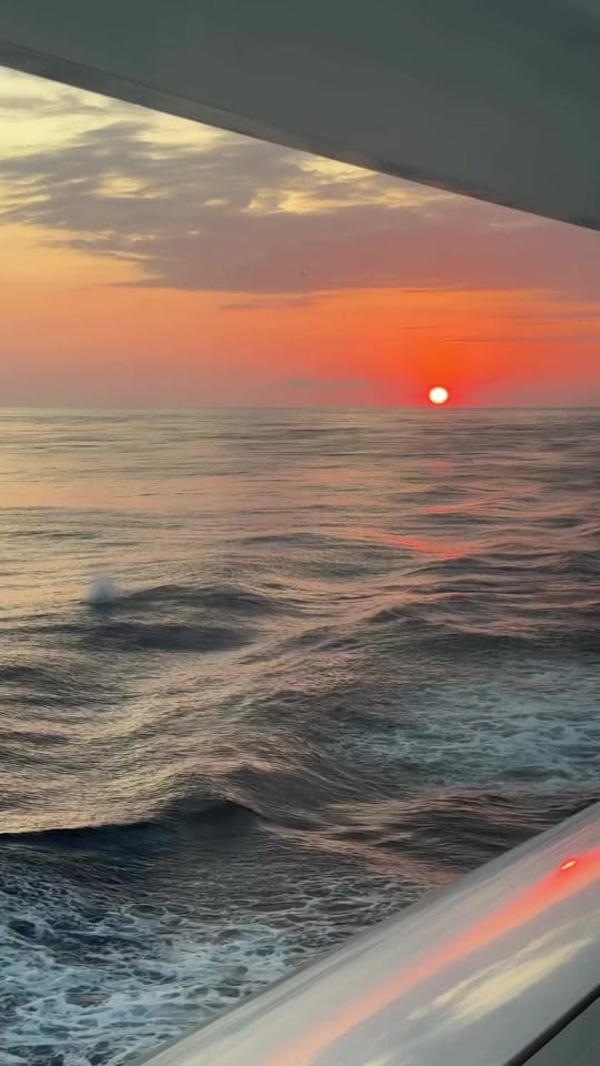 Post 6 by marbella.reels on TikTok (video)