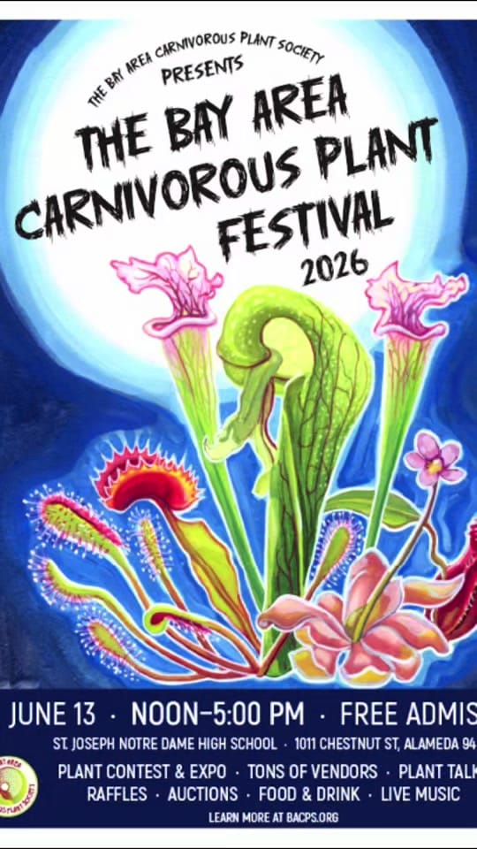 Post 6 by California Carnivores on TikTok (video)