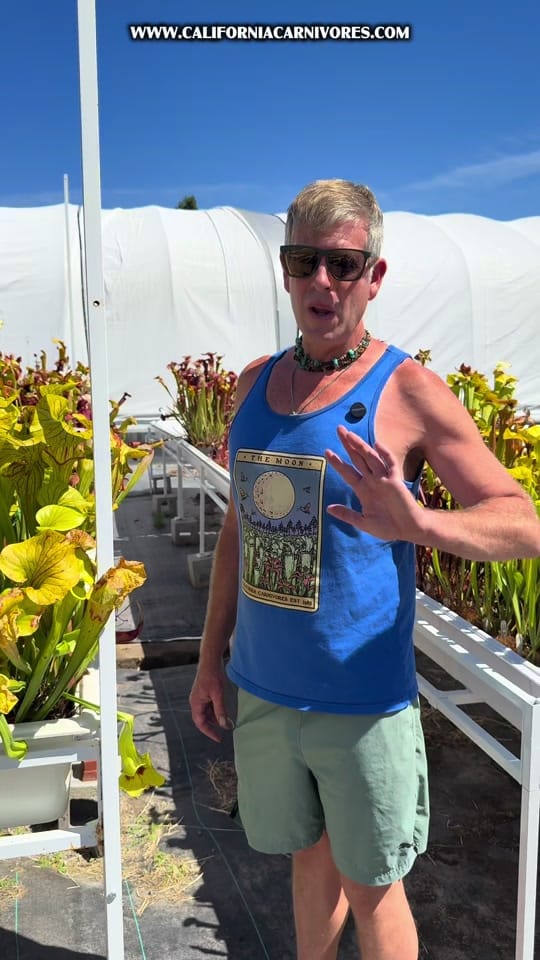 Post 3 by California Carnivores on TikTok (video)
