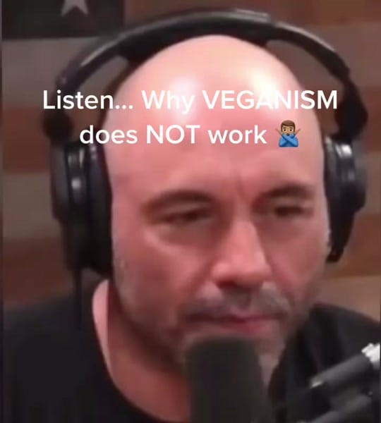 Post 1 by BASED Fitness on TikTok (video)