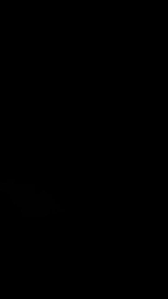 Post 4 by Kirmesfreunde 38 on TikTok (video)