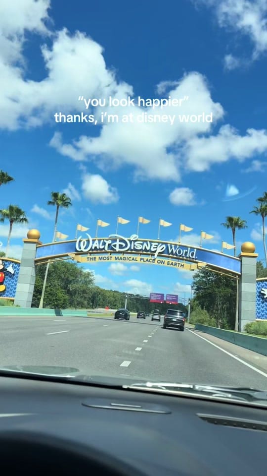 Post 9 by Olivia Marino on TikTok (video)