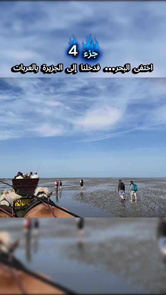 Post 5 by abomahdi.explore on TikTok (video)