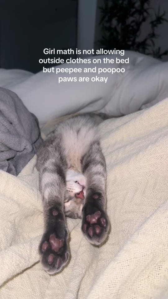 Post 1 by valeria on TikTok (video)