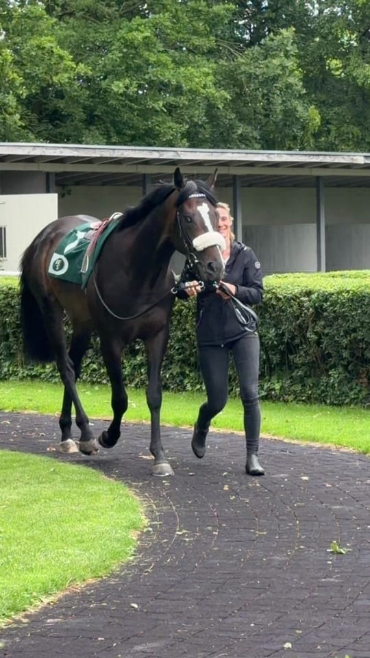 Post 2 by Laura | German Horseracing on TikTok (video)