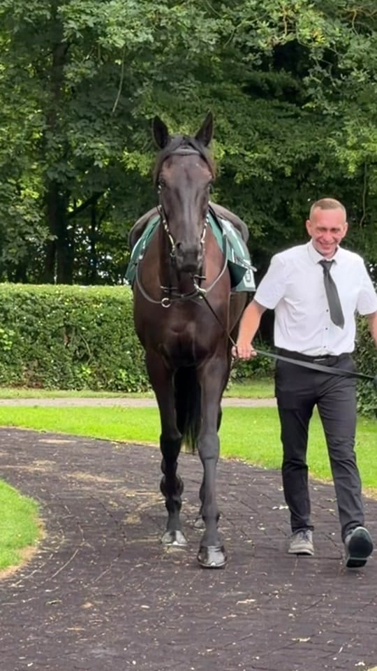 Post 6 by Laura | German Horseracing on TikTok (video)