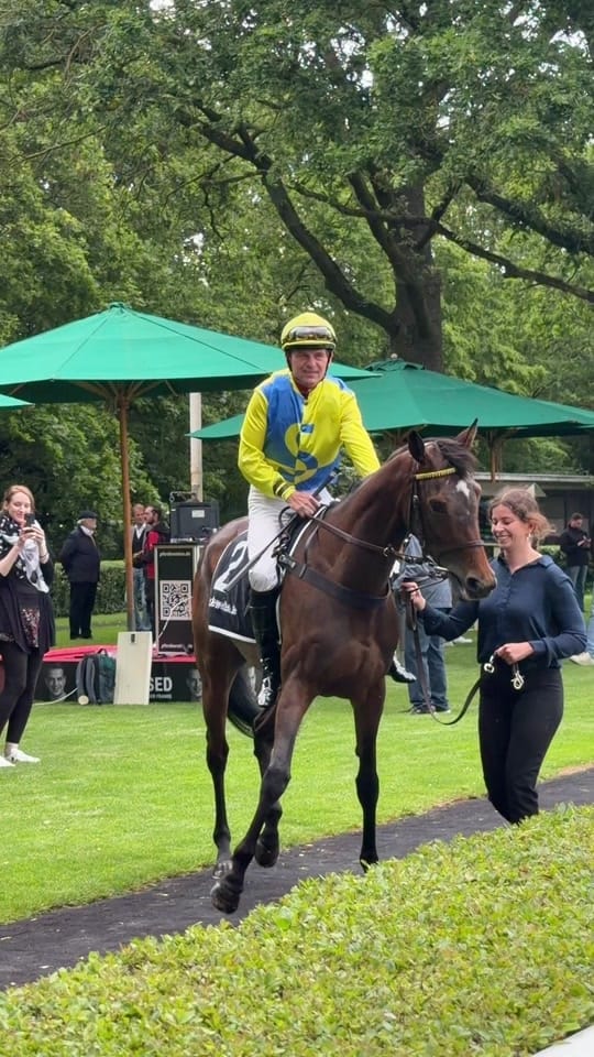Post 1 by Laura | German Horseracing on TikTok (video)